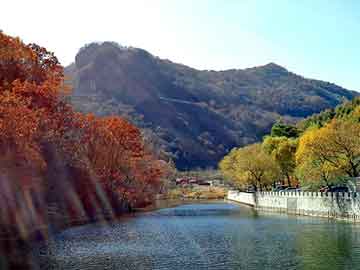 四海一家电话（四海一家餐厅怎么样）